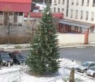 Teplice hledají dárce vánočního stromku